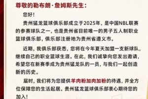 羊肉粉加肉加粉!贵州猛龙:这些理由 能打动詹姆斯加盟球队吗?